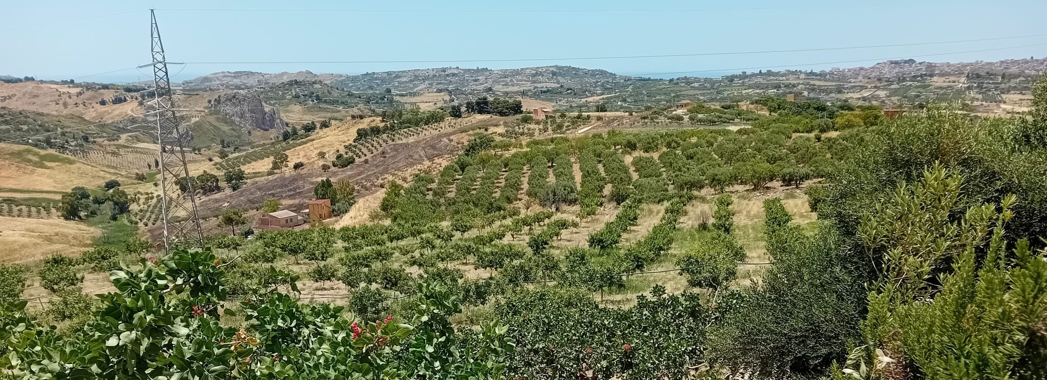 cropped-WhatsApp-Image-2026-06-21-at-15.59.10-3.jpeg